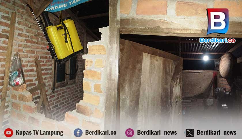 Gajah Liar Rusak Rumah Warga Suoh Lambar