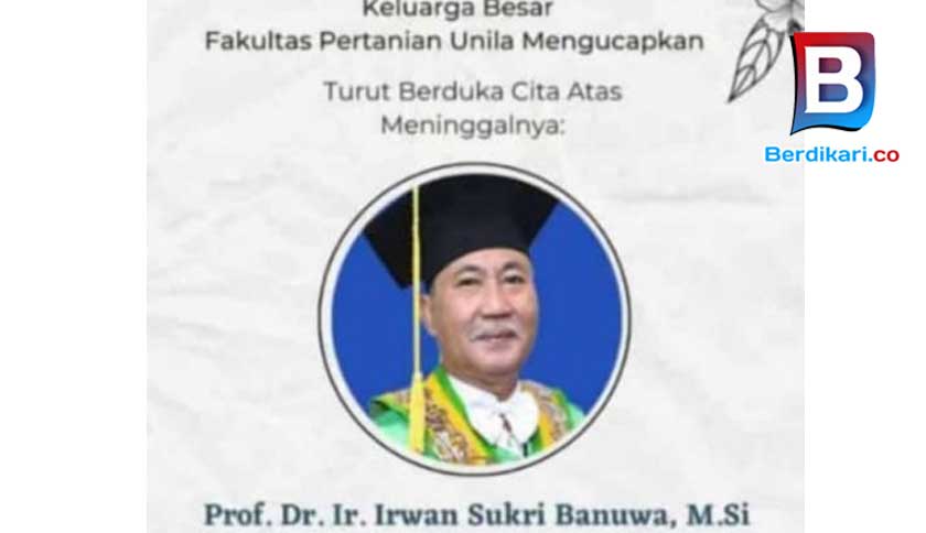 Berita
