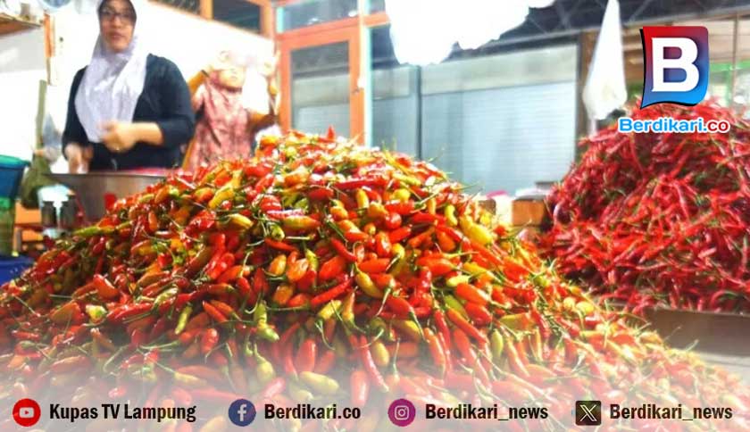 Harga Cabai Rawit Keriting di Mesuji Rp 60 Ribu per Kg