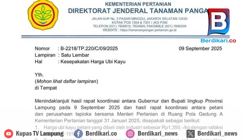 Harga Singkong Disepakati Rp1.350 per Kg, Pemerintah Wajibkan Industri Patuh