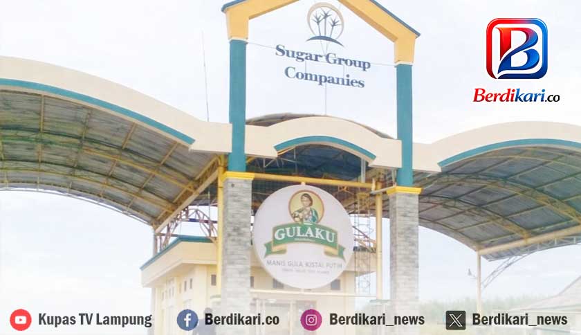 HGU Dicabut, Pekerja SGC Cemas Kehilangan Mata Pencaharian