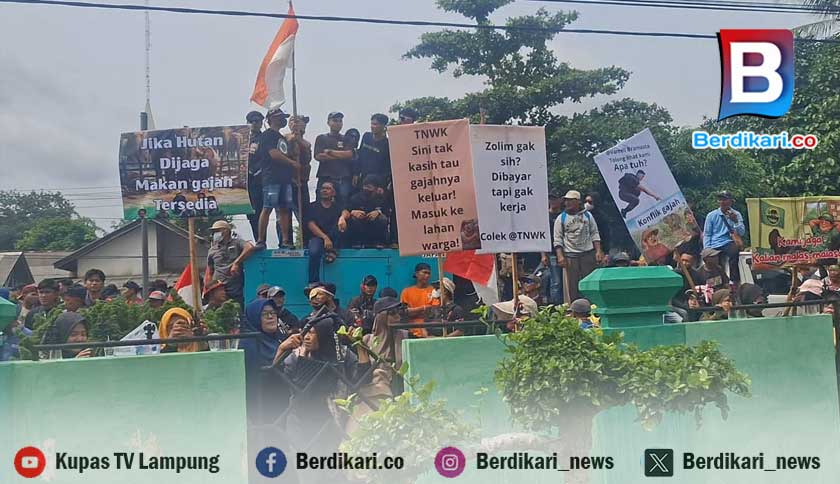 Hidup di Bawah Ancaman Gajah Liar, Petani Way Kambas Tuntut Perlindungan