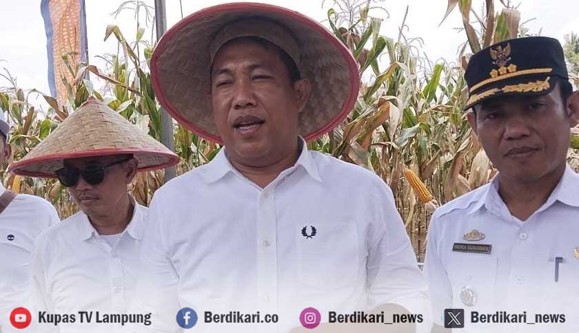 HKTI Ungkap Petani Singkong Dalam Tekanan Berat