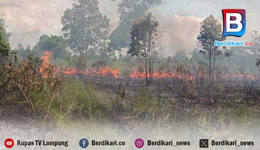 Berita