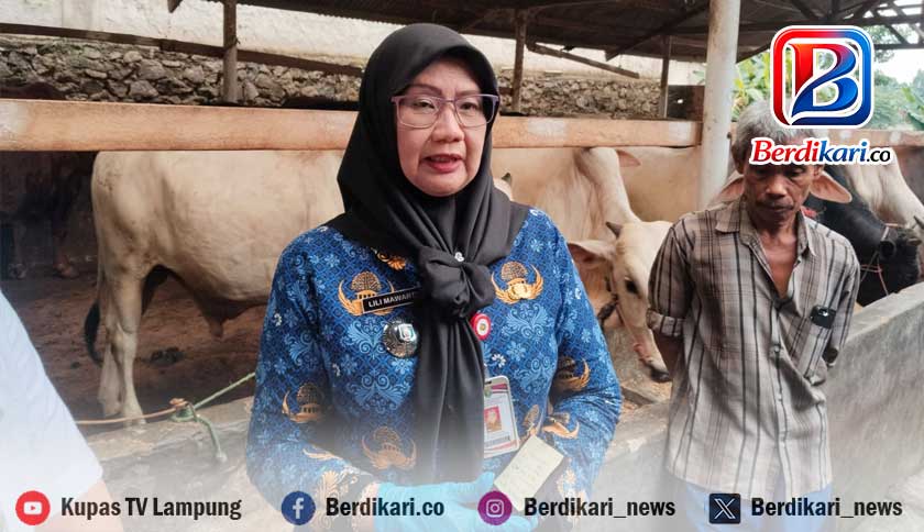 Iduladha 2026, Lampung Siagakan Ratusan Dokter Hewan dan Relawan Pantau Kurban