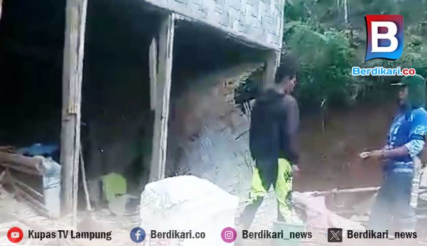 Kawanan Gajah Liar Kembali Rusak Rumah Warga Suoh Lambar