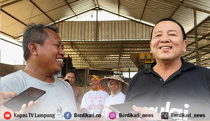 Keberhasilan Arinal Djunaidi Jaga Stabilitas Harga Singkong Diapresiasi Pengusaha