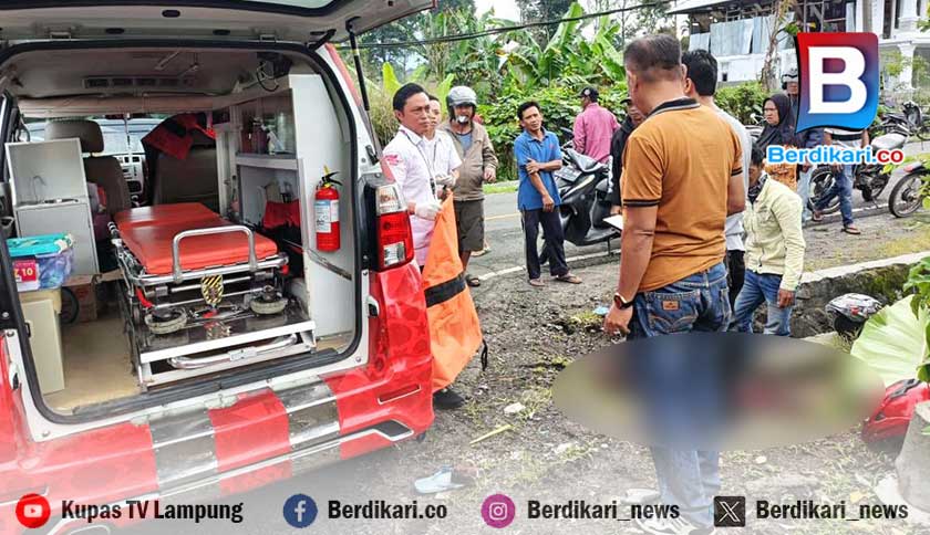 Kecelakaan di Kembahang Lampung Barat, Pemotor Tewas