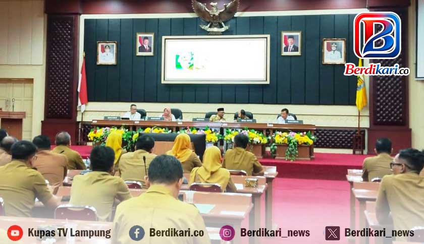Kementan: Lampung Kunci Pencapaian Swasembada Pangan