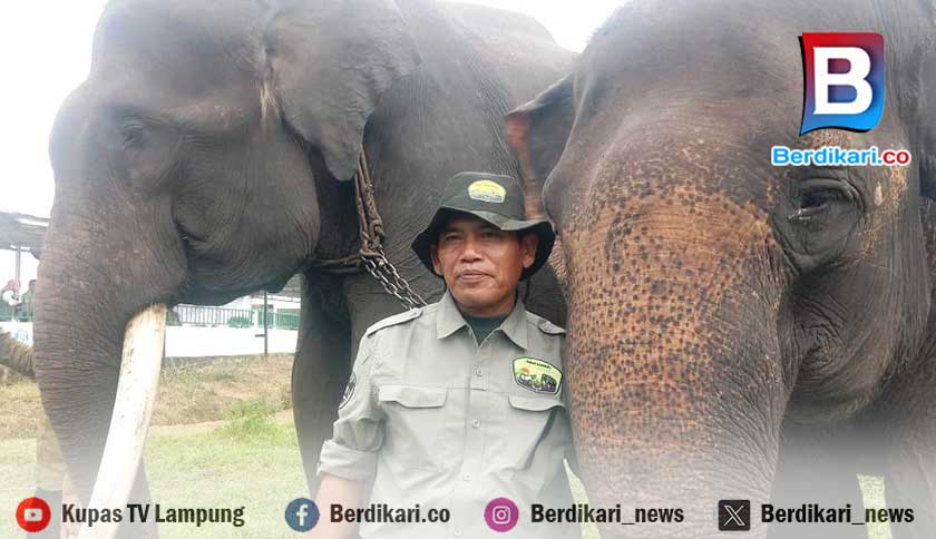 Berita