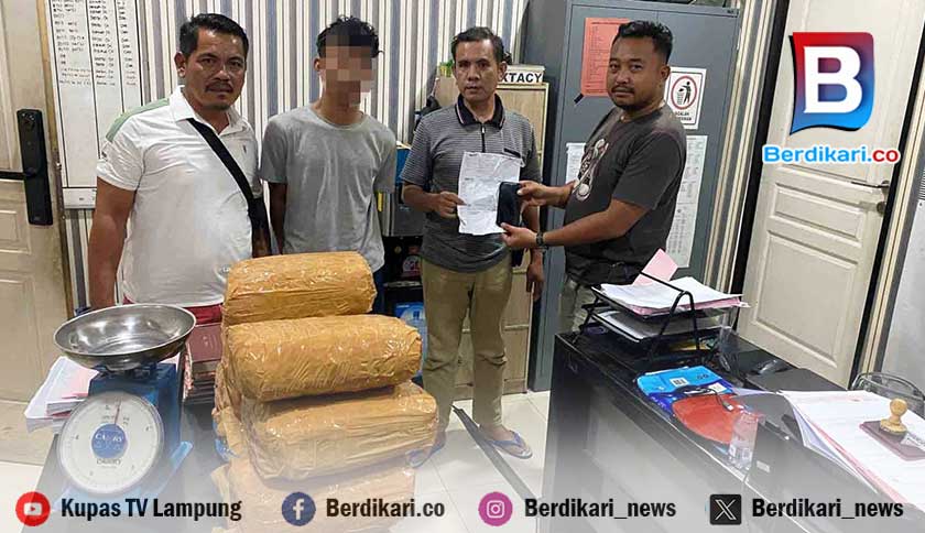 KSKP Bakauheni Ungkap Pengiriman 11 Paket Ganja