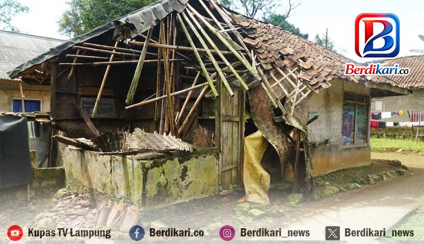Berita