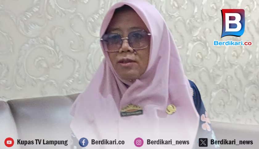 Lampung Produksi Singkong 7 Juta Ton, Ada 71 Perusahaan Tepung Tapioka Beroperasi