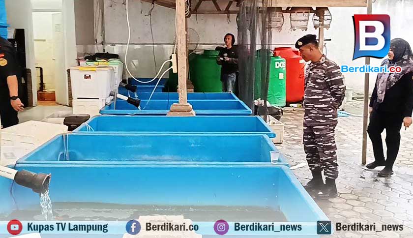 Lanal Lampung dan Brigif 4 Mar/BS Gerebek Gudang Baby Lobster di TBS