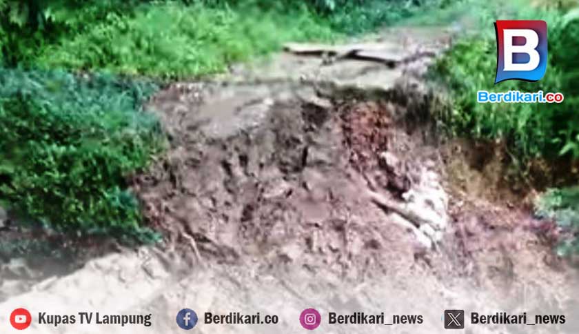 Longsor di Tanggamus Juga Putus Jalur Simpang Umbar–Teluk Kiluan