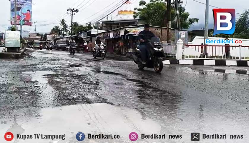 Lubang Menganga dan Jalan Ambles, Warga Tanggamus Tuntut Pemerintah Bertindak