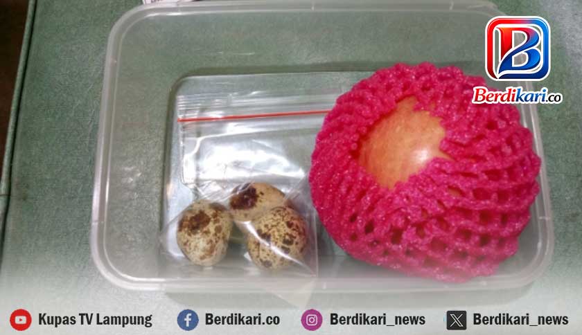 Menu MBG di SDN 2 Metro Timur Diprotes, Siswa Hanya Terima Telur Puyuh dan Apel