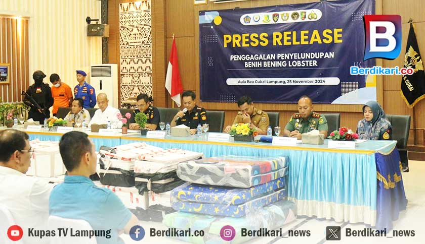 Modus Diselipkan di Kasur Busa, Upaya Penyelundupan 60.883 Benih Lobster Terbongkar