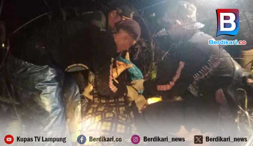 Ngeri, Warga BNS Lambar Diduga Tewas Diserang Harimau dengan Kondisi Tubuh Tak Utuh