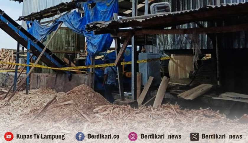 Pekerja di Lampung Tengah Tewas Mengenaskan Masuk ke Mesin Pengupas Kayu