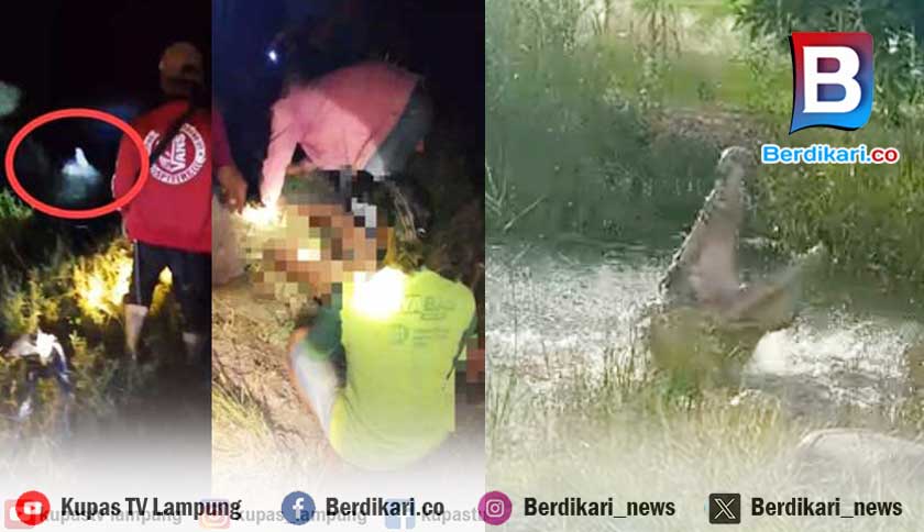 Pemancing di Tulang Bawang Tewas Diserang Buaya