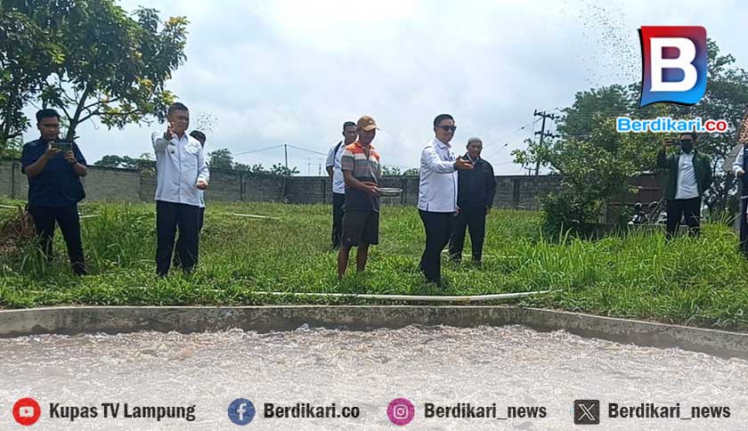 Pemkot Metro Gagas Program Budidaya Lele Serentak di 22 Kelurahan
