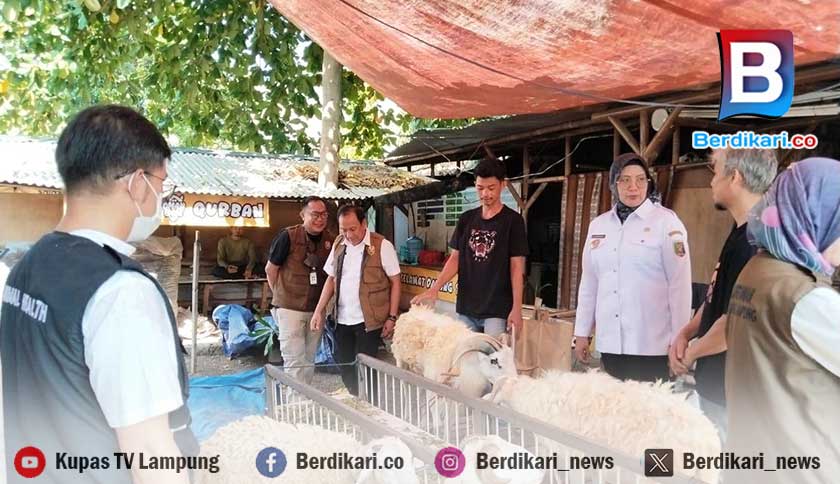 Pemprov Lampung Tingkatkan Pengawasan Hewan Kurban