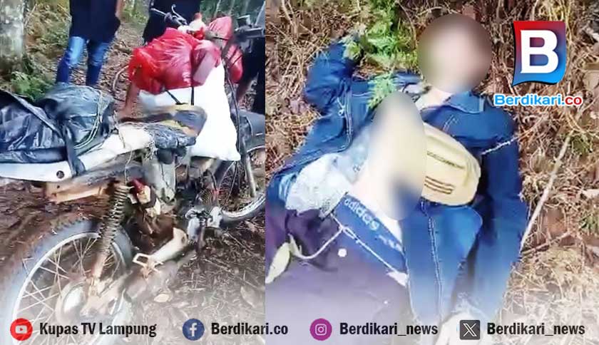 Penemuan Mayat di Kebun Karet Gegerkan Warga Pugung Tanggamus