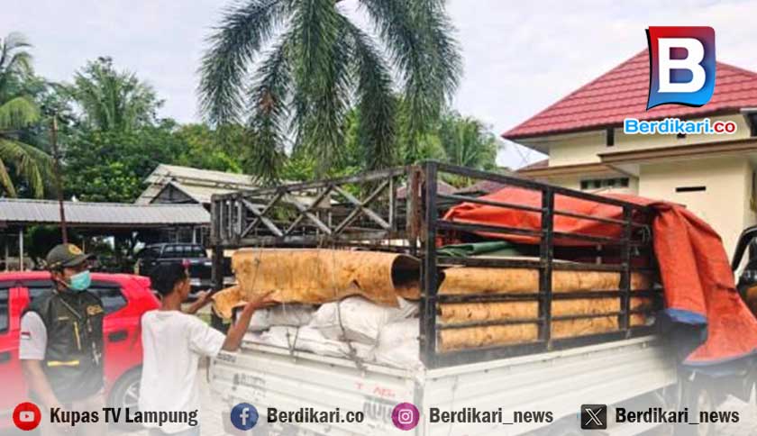 Penyelundupan 3 Ton Daging Ayam Ilegal Digagalkan di Lampung