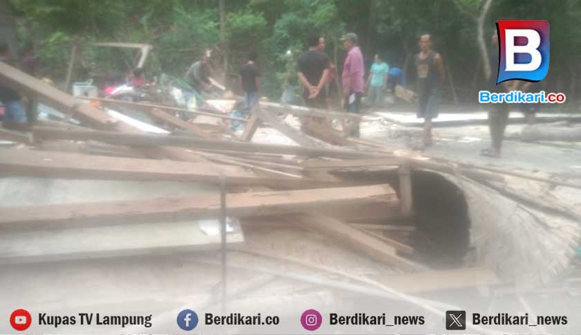 Pohon Pete Tumbang Timpa Rumah Warga Katibung Lampung Selatan hingga Hancur