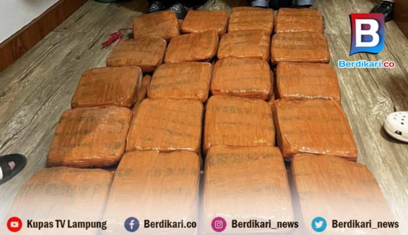 Polda Lampung Gagalkan Peredaran 40 Kg Ganja dari Sumatera Barat