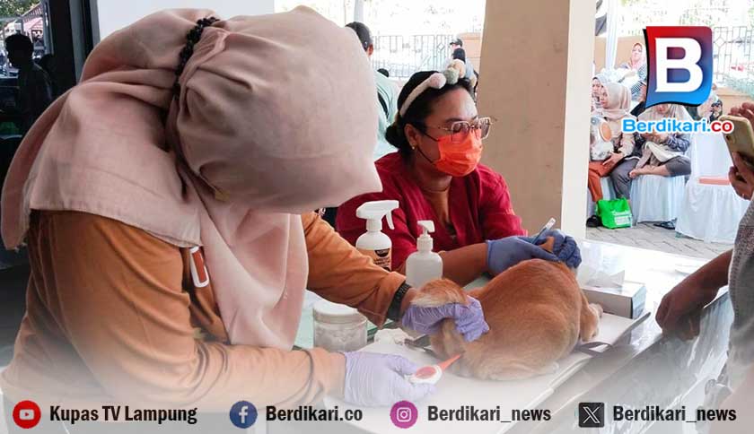 Populasi Hewan Penular Rabies di Lampung 203.411 Ekor