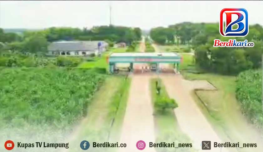 PT Inhutani V Sewakan Lahan 10 Ribu Hektar ke PT PSMI