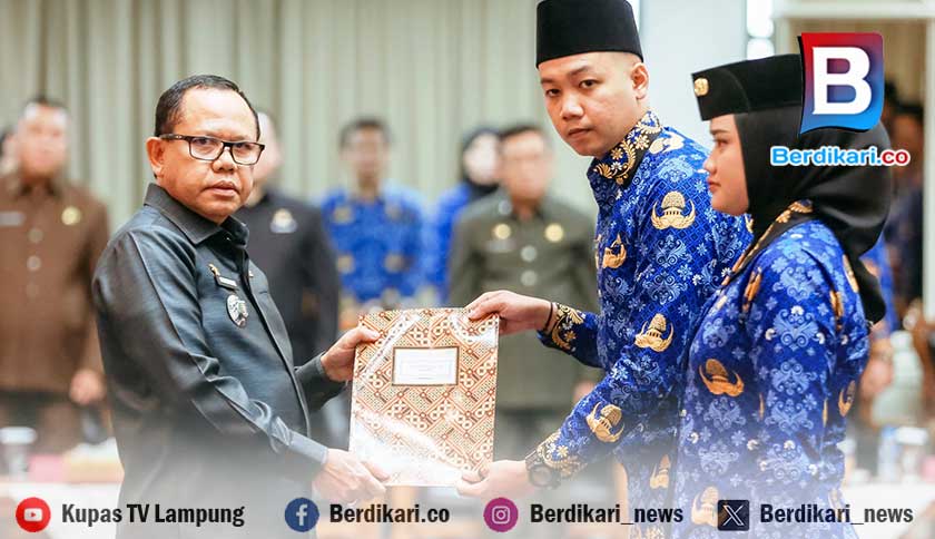 SK Berlaku 1 Tahun, PPPK Tahap II Pemprov Lampung Kecewa