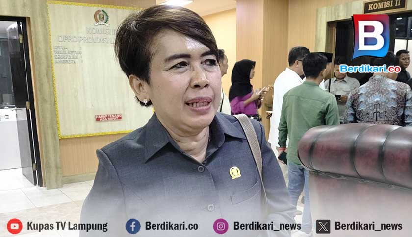 Soal Pilkada Dipilih DPRD, Budhi Chondrowati: Saya Ingin Kepala Daerah Tetap Dipilih Rakyat