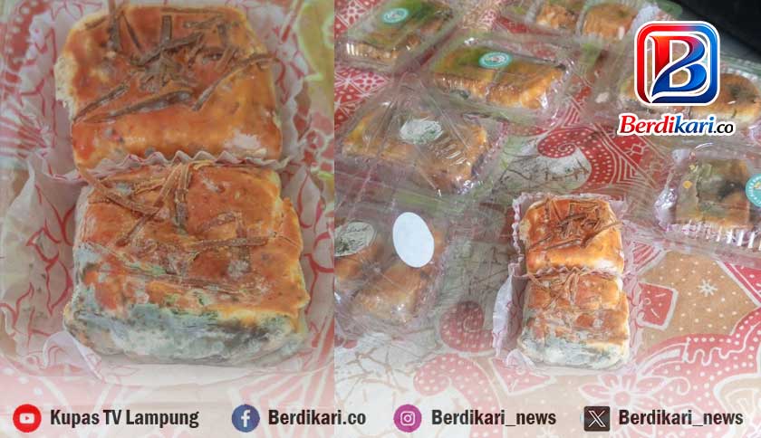 SPPG Tanggamus Bagikan Roti Berjamur ke Siswa, di Metro Siswa Hanya Terima 3 Telur Puyuh-1 Apel   