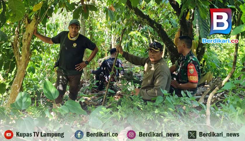 Berita