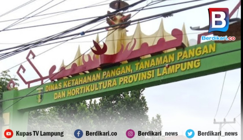 Temuan BPK Soal Alsintan di Lampung Hanya Administrasi, Amel: Tak Ada Kerugian Negara dan Tak Ada Kaitannya dengan Anggota DPR RI