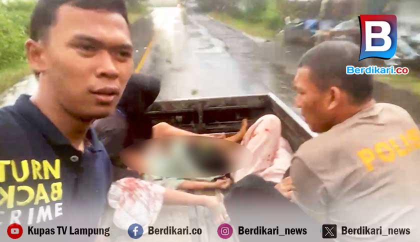 Tiga Pelajar di Lamteng Jadi Korban Pohon Tumbang