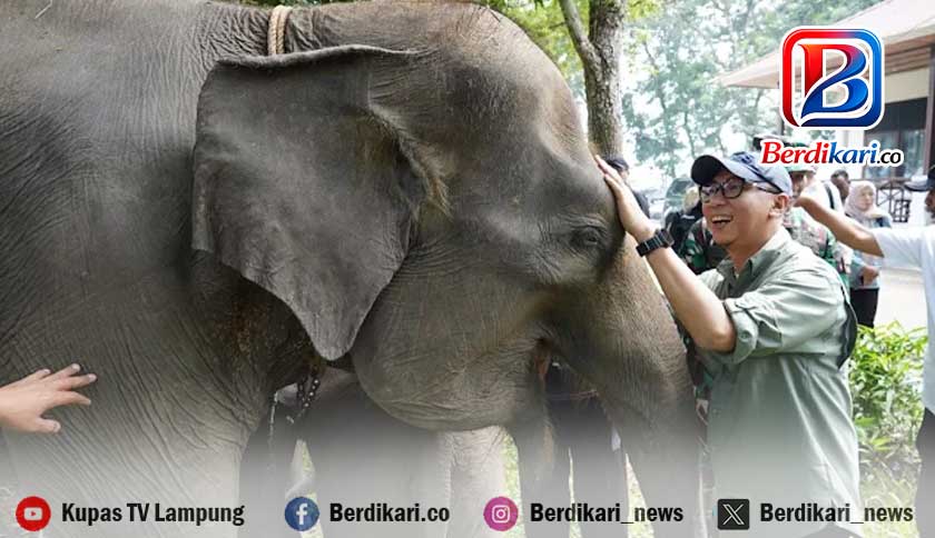 TNWK Masuk dalam Pilot Project Konservasi Taman Nasional di Indonesia