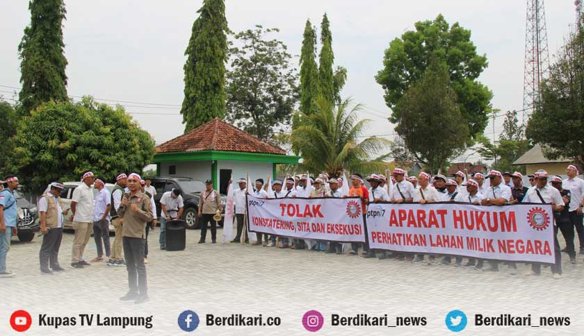 Tolak Pengukuran Lahan 320 Hektar, Ratusan Anggota SPPN VII Demo di PN Blambangan Umpu