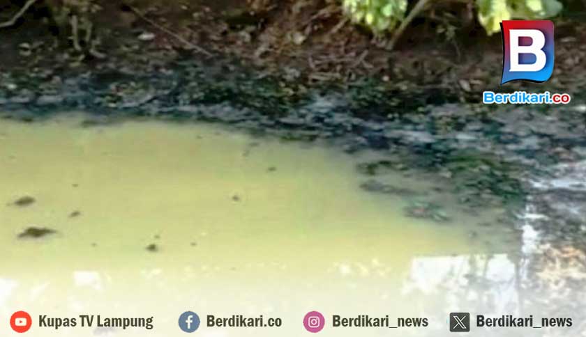Berita