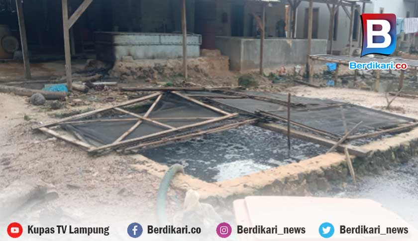 Warga Sukorahayu Lampung Timur Mengeluh Bau Busuk Limbah Pengolahan Teripang