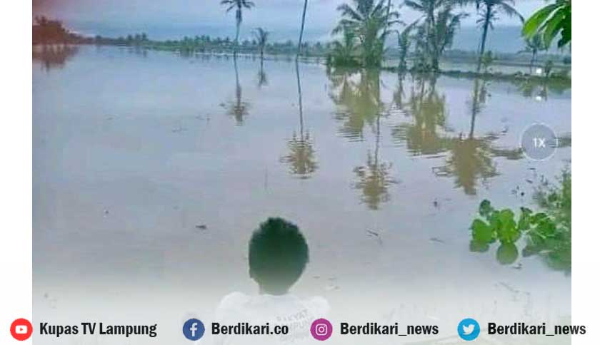 Berita